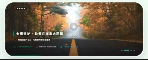 Screenshot 2026-03-20 214650.webp