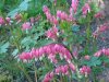 DSC00673.jpg