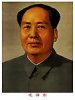 毛.jpg