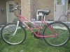 bikes 002.jpg