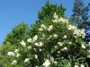 DSC00687.jpg