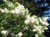 DSC00689.jpg