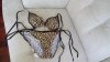 DSC00116.jpg
