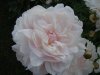 DSC01880.jpg