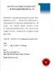 Chinese flyer.jpg