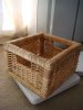 DSC05744.JPG