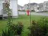 DSC00674.jpg
