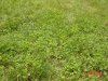 DSC01312.JPG