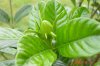 DSC04742.jpg