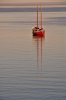 11_08Tadoussac13_RedSail.jpg