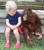 20100706084124285.gif