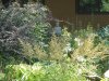 DSC00887.jpg