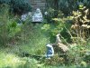 DSC00883.jpg