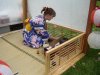 DSC01004.jpg