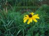 DSC00900.jpg