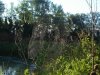 DSC01115.jpg