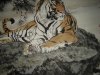 DSC01328.jpg