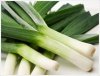 fresh_leeks.jpg