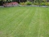 Grass.jpg