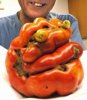 mutant_tomato.jpg