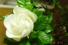 DSC04913.jpg