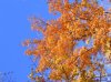 http_imgloadCA0FC4L8.jpg