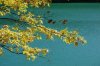 Oct 10-4.jpg