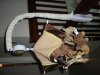 DSCN0578.JPG