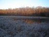 DSC01993.jpg