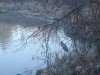 DSC02033.jpg