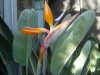 DSC01879.jpg