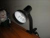 DSCN0746.JPG