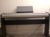 Piano1.jpg