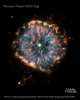 2006_6_16_eye-4--ss.jpg