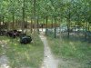 DSC00170.jpg