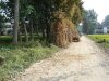 DSC00178.jpg