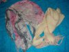 DSC05070.jpg