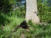 DSC00589.jpg