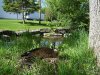 DSC00590.jpg