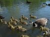 DSC00585.jpg