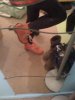 IMG_0399.jpg IMG_0399.jpg