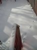 DSC07314-1.jpg