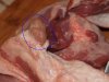 pork2.jpg