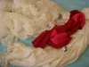 DSC05430.jpg
