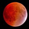 Lunar_Eclipse-20101221.jpg