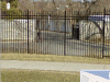 Image2.gif