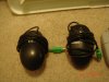 DSC00198.JPG