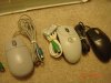 DSC00199.JPG