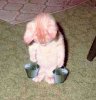 funny_cats_7.jpg
