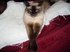 DSC04494.jpg